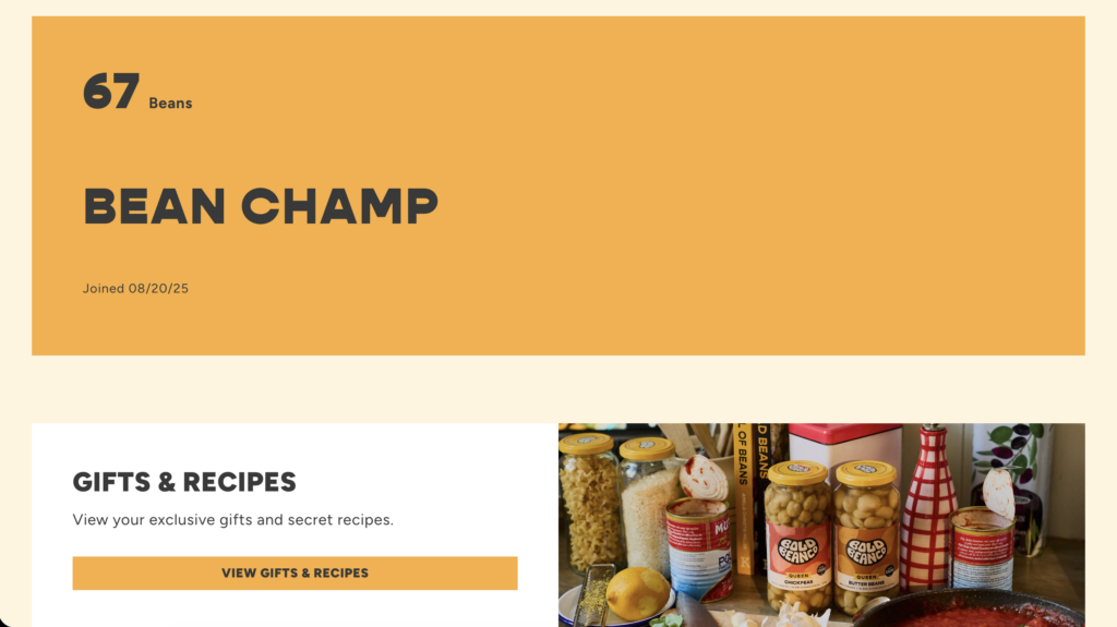 Shopify Loyalty for DTC Brands: What Skio Loyalty Is and Why It Matters Project Visual 3