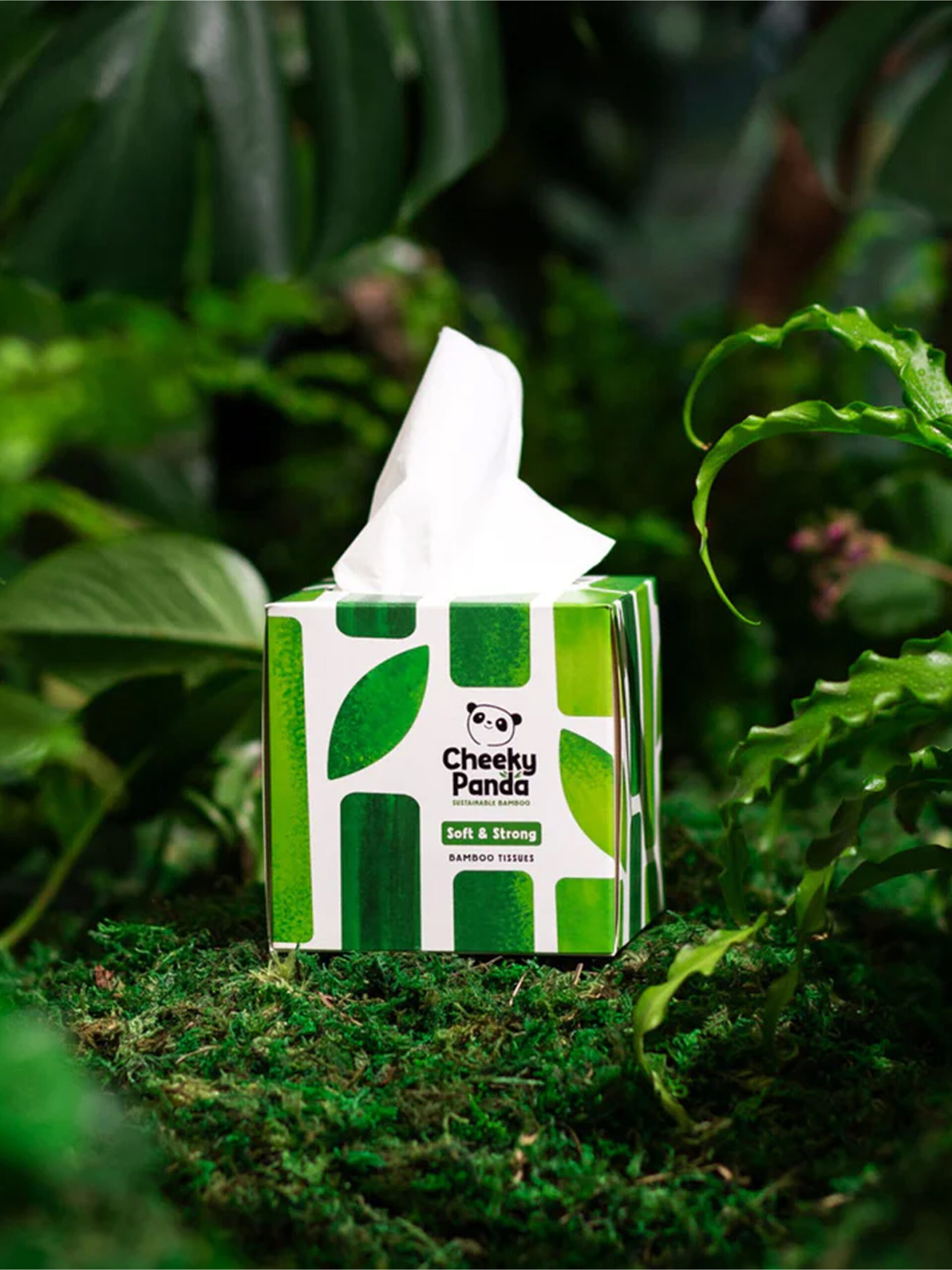 About Campaign Image 144