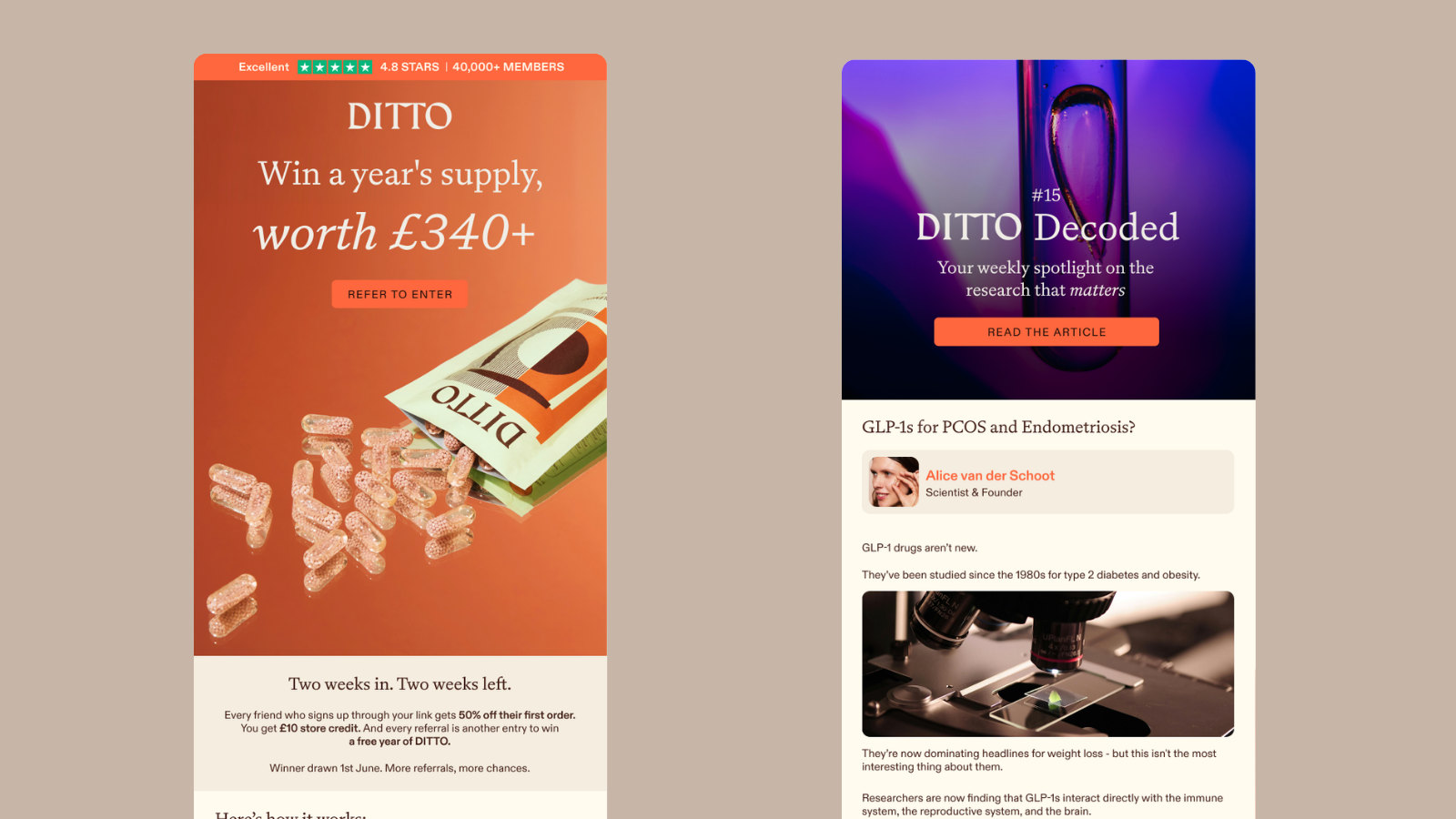Ditto Campaign Templates